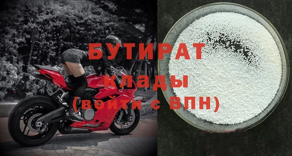гидра Вяземский