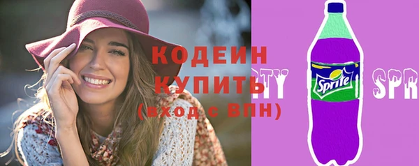 гидра Вяземский