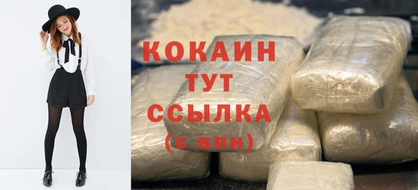 гидра Вяземский