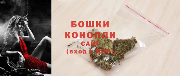 гидра Вяземский