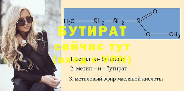 гидра Вяземский