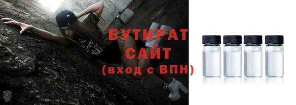 гидра Вяземский