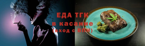гидра Вяземский