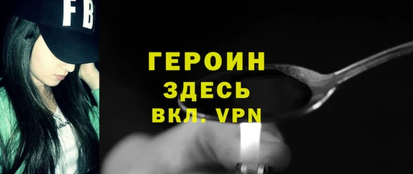 гидра Вяземский