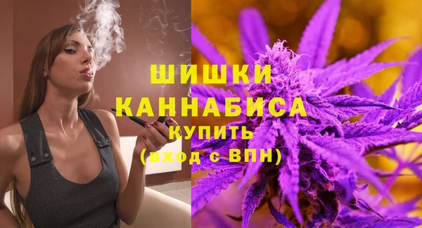 гидра Вяземский
