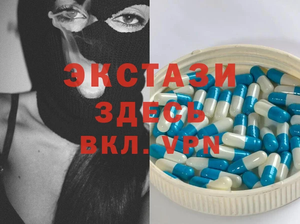 гидра Вяземский