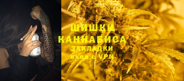 гидра Вяземский