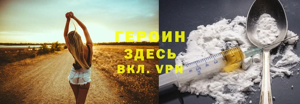 гидра Вяземский