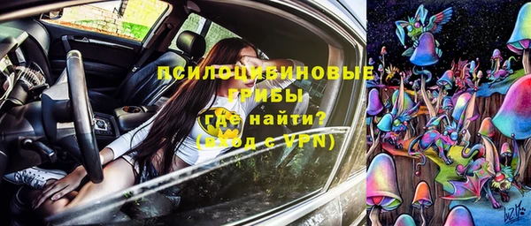 прущая мука Вязники