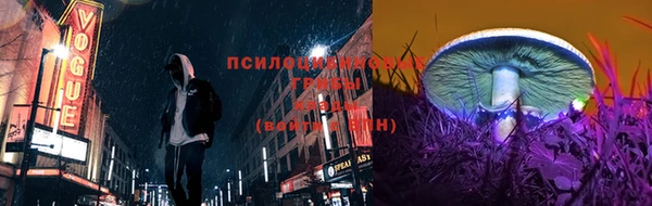 скорость Вязьма