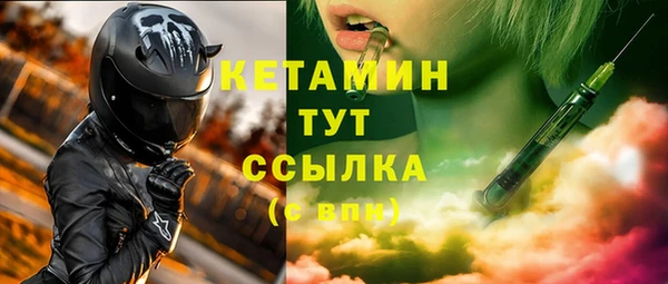 гидра Вяземский