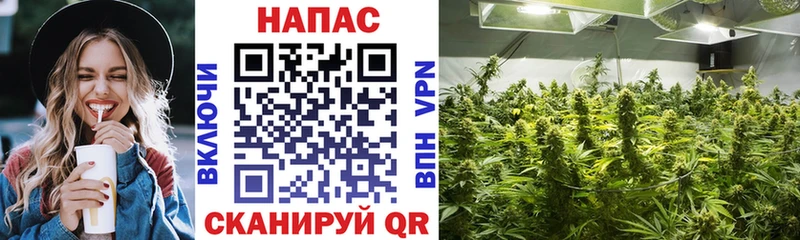 Купить где Сунжа Канабис LSD WEED